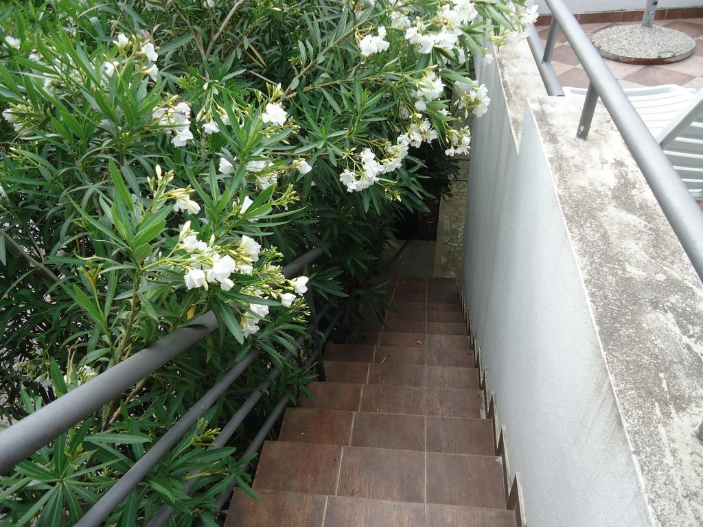 Apartments Ant Budva Chambre photo